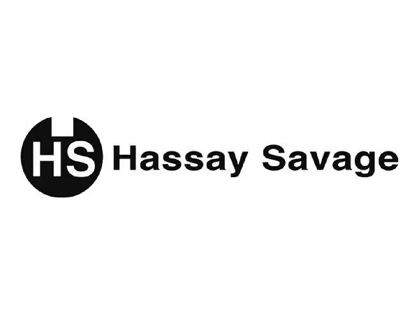 Inserto de brocha Gr12IV Hassay Savage IBT