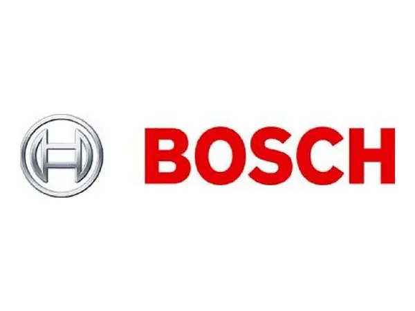 Cincel pala SDS-plus 60x250mm Bosch